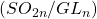 (SO_{2n}/GL_n)